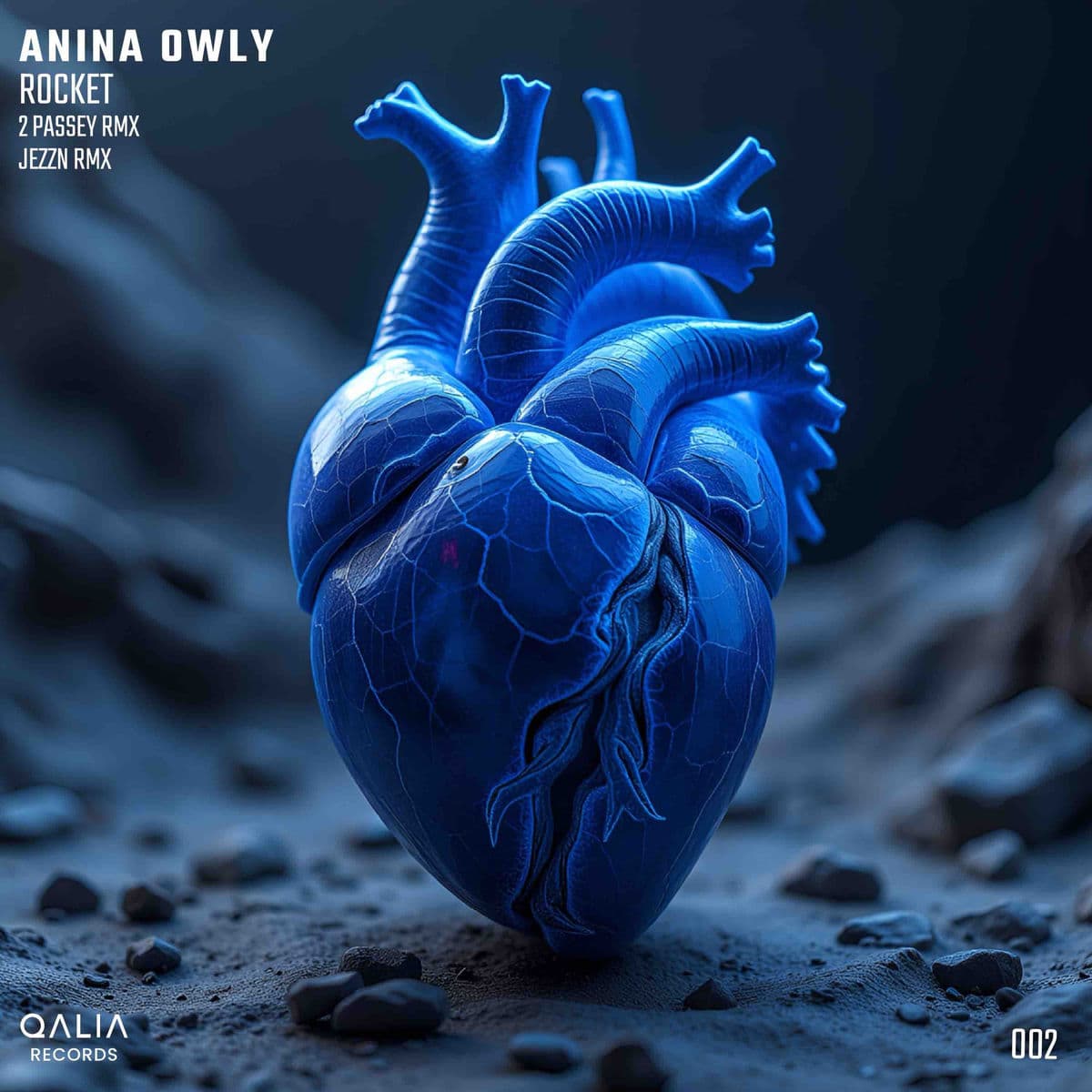 Anina_Owly_-_Rocket-_QLR002_-WEB-2026-ZzZz
