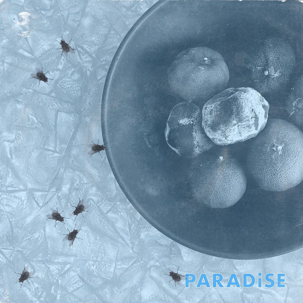 Cell_Rot-Paradise_Parasite_II-Single-WEB-2026-FiH