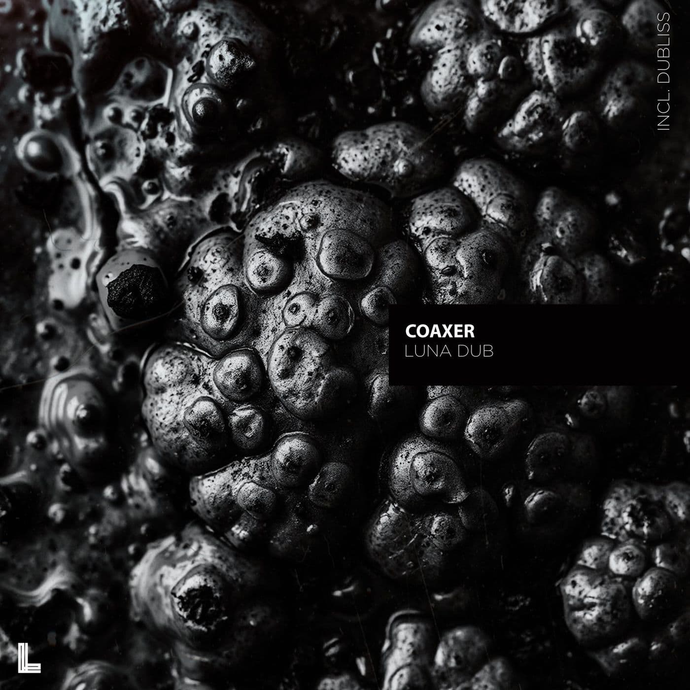 Coaxer-Luna_Dub-_LG310_-WEB-2026-PTC