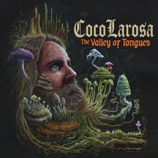 Cocolarosa-The_Valley_of_Tongues-16BIT-WEB-FLAC-2026-ENRiCH