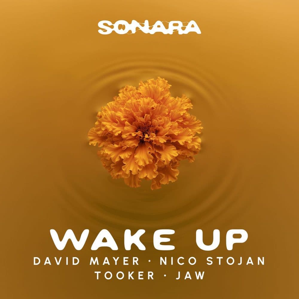 David_Mayer_x_Nico_Stojan_x_Tooker_feat_JAW--Wake_Up-_SON012_-WEB-2026-YALLA