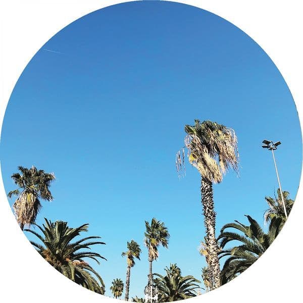 Demuja-Soul_Brother-_PALMS013_-16BIT-WEB-FLAC-2018-BABAS