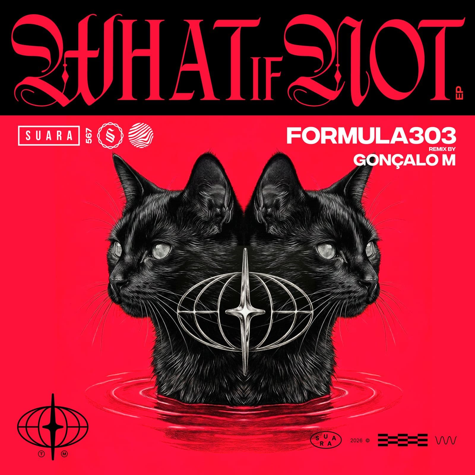 formula303-What_If_Not-_SUARA567_-24BIT-WEB-FLAC-2026-PTC