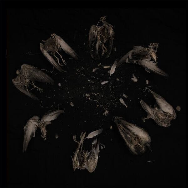 Harju-Verikyyhky_Original_Graphic_Novel_Soundtrack_-OST-WEB-2026-KALEVALA