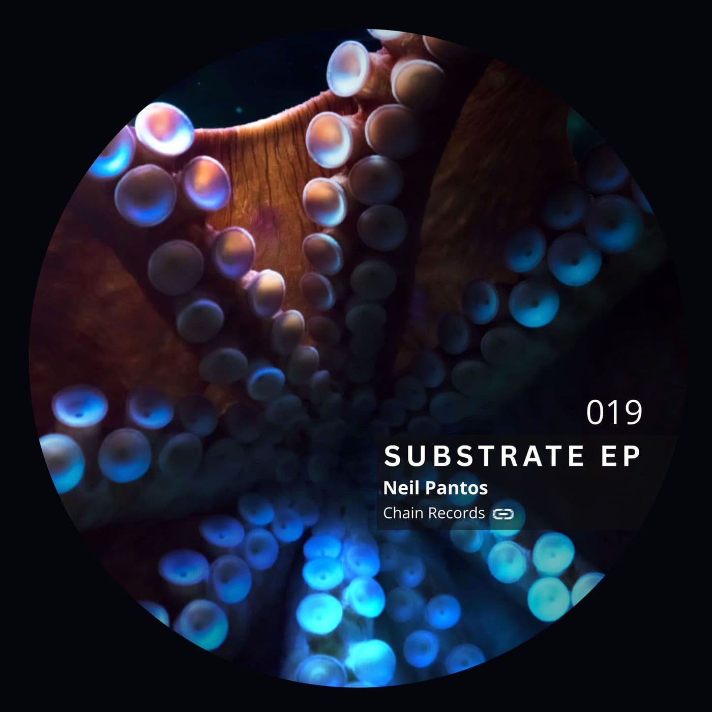 Neil_Pantos-Substrate_EP-_CR019_-WEB-2026-PTC