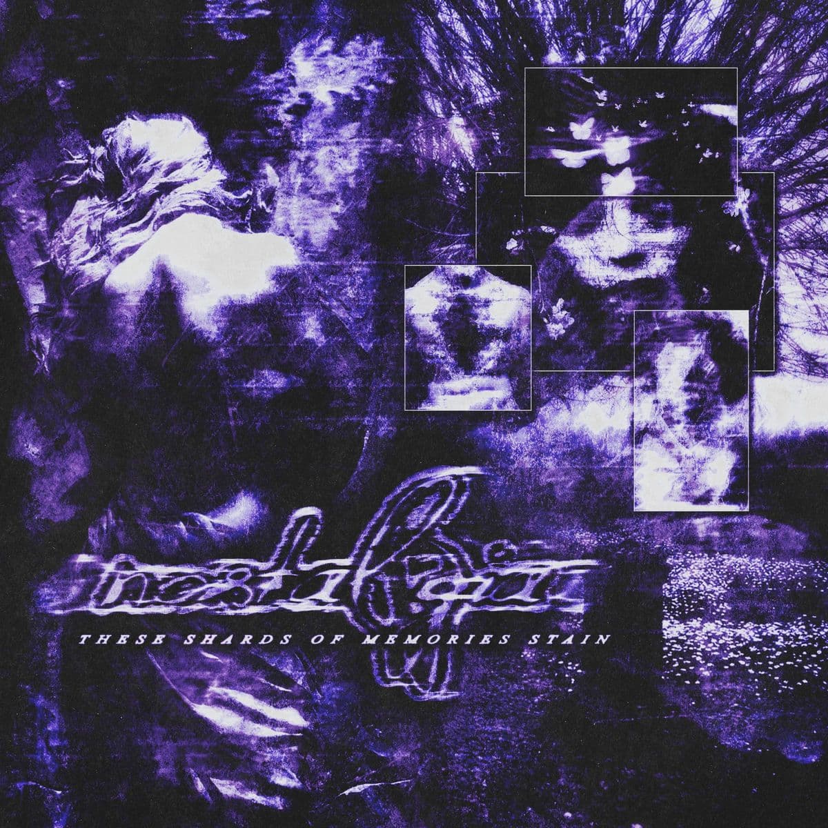 Nostalgia-These_Shards_Of_Memories_Stain-16BIT-WEB-FLAC-2026-VEXED