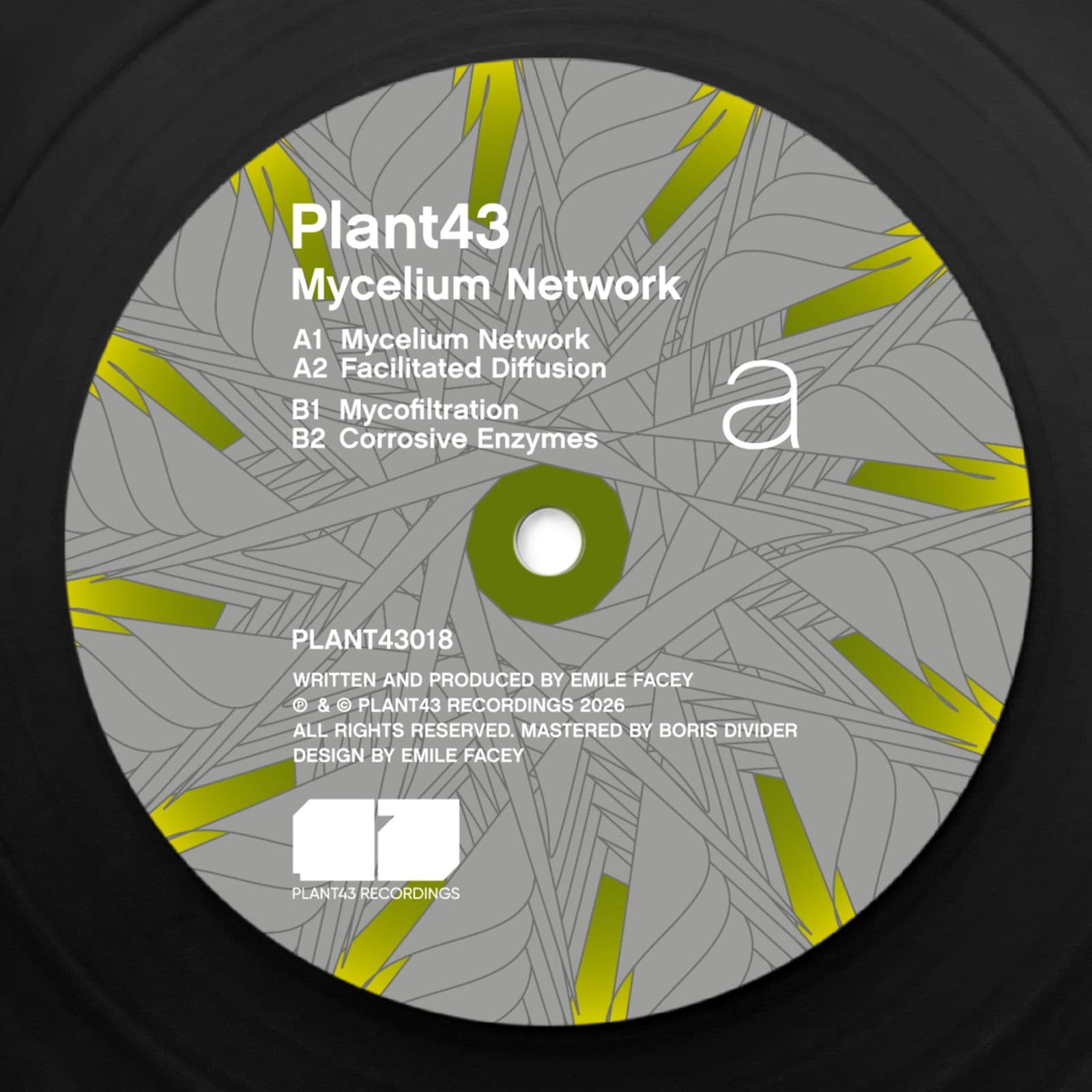 Plant43-Mycelium_Network-_PLANT43018_-WEB-2026-BB
