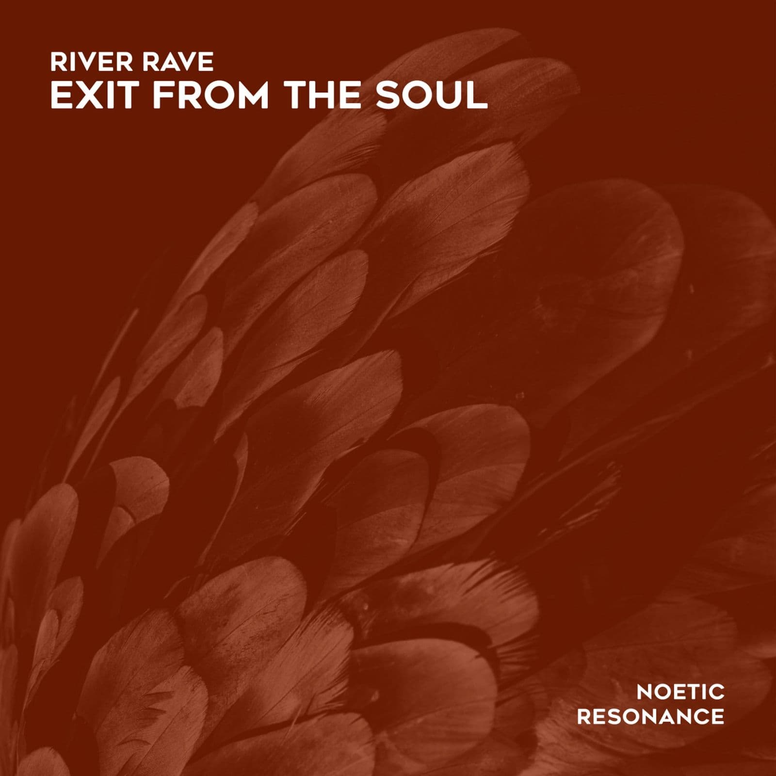 River_Rave-Exit_From_The_Soul-_NRN125_-SINGLE-WEB-2026-FALCON