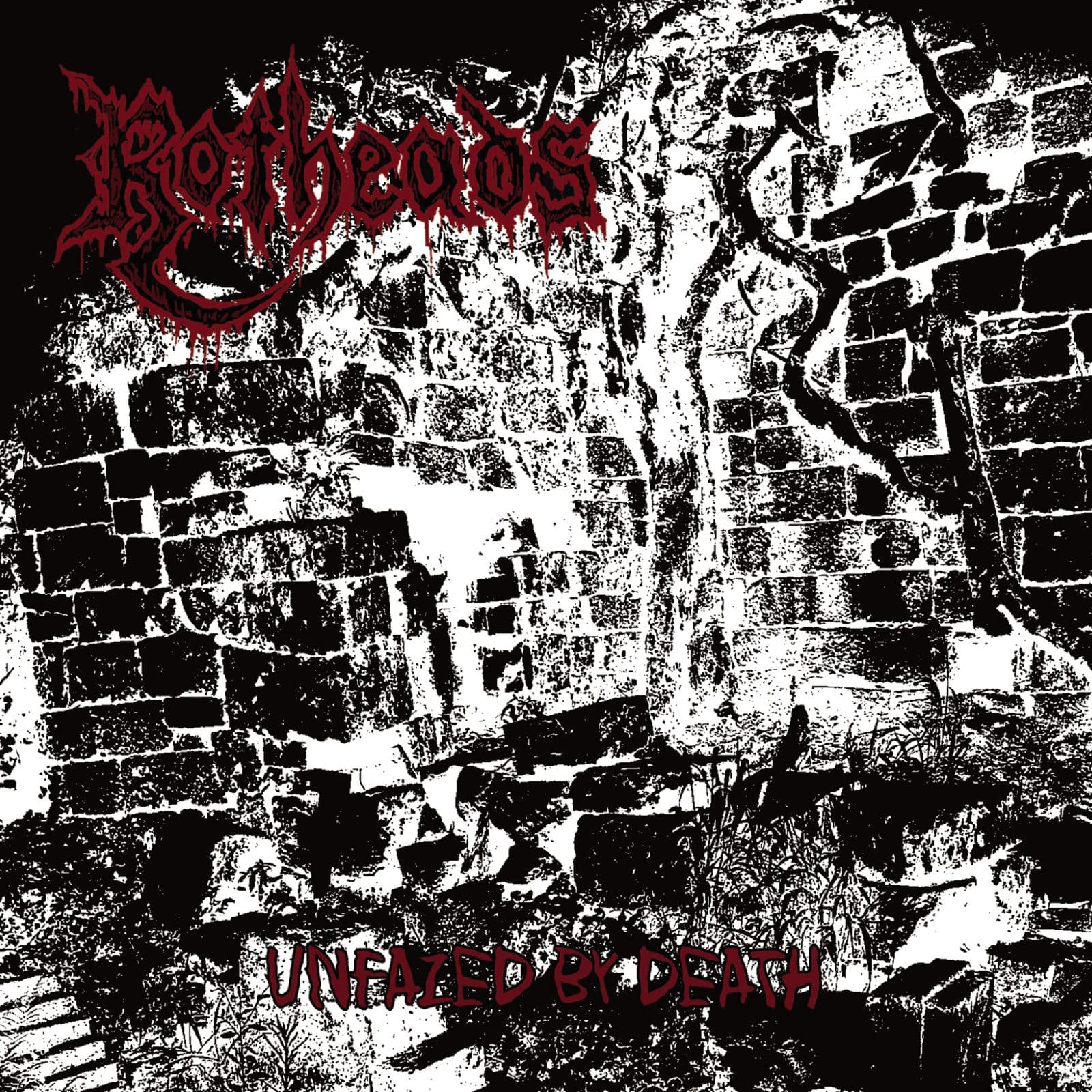 Rotheads-Unfazed_by_Death-EP-24BIT-WEB-FLAC-2016-MOONBLOOD