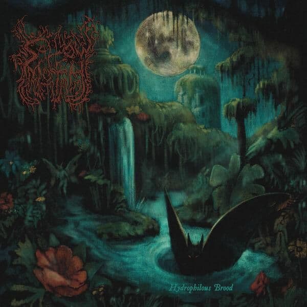 Sallow_Moth-Hydrophilous_Brood-16BIT-WEB-FLAC-2026-ENTiTLED