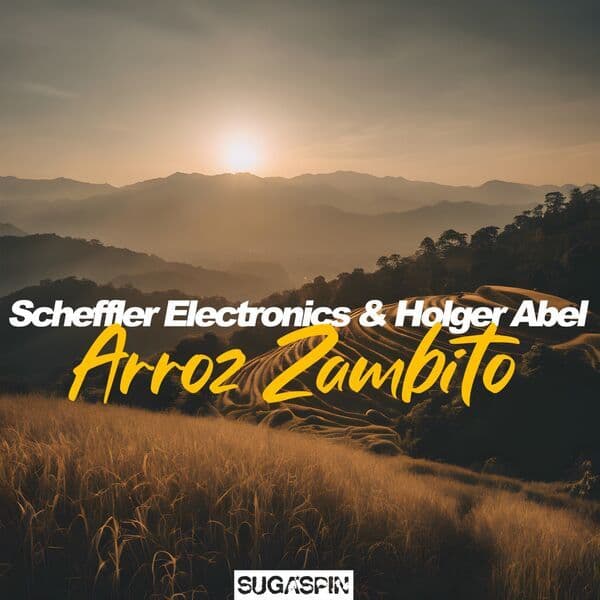 Scheffler_Electronics_x_Holger_Abel-Arroz_Zambito-_SPN192_-WEB-2025-BABAS