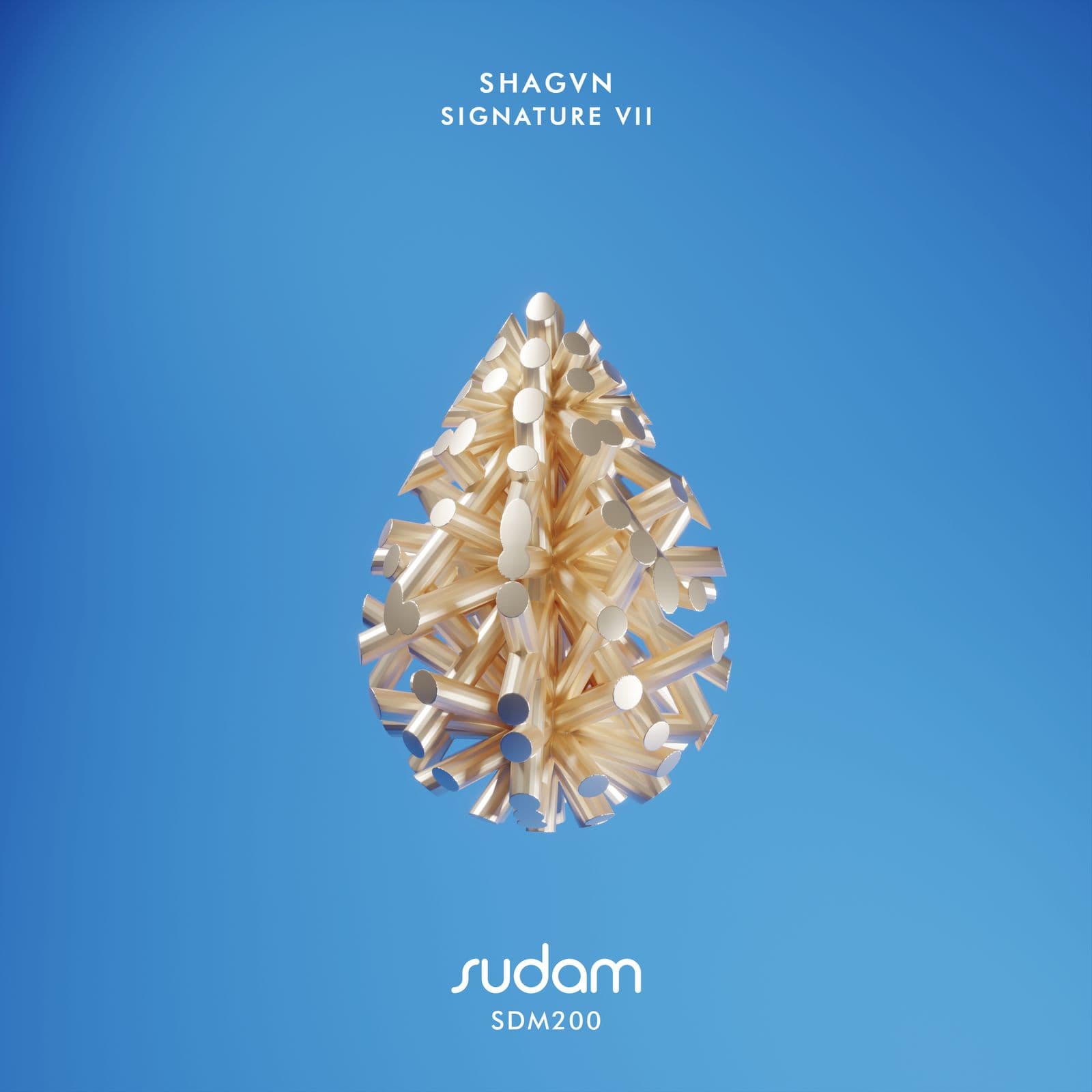 SHAGVN-Signature_VII-_SDM200_-WEB-2026-PTC