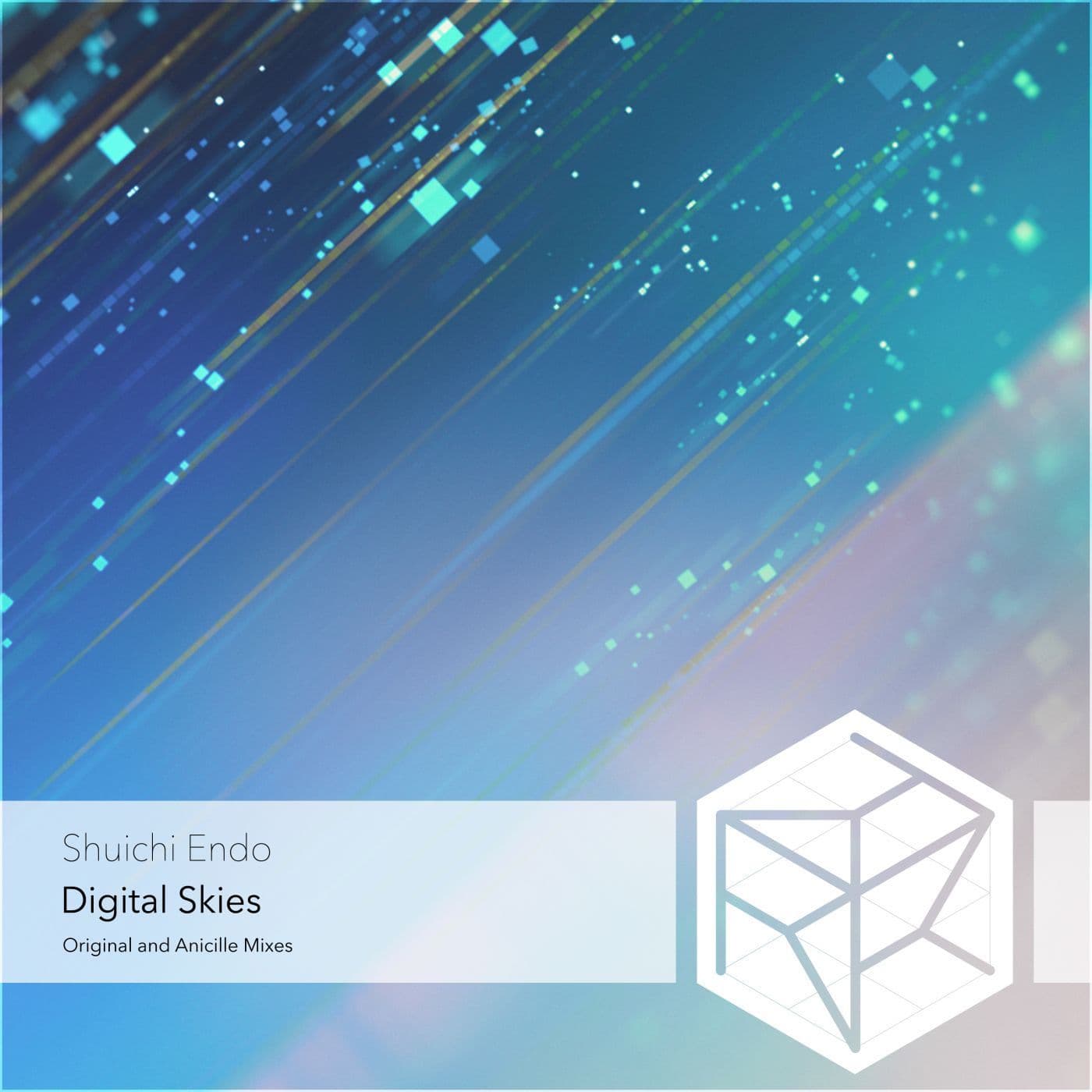 Shuichi_Endo-Digital_Skies-_RRRNEW245_-WEB-2026-PTC
