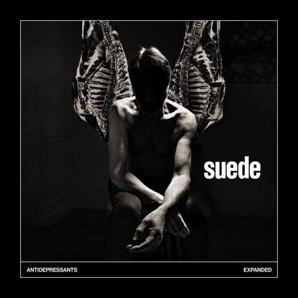 Suede-Antidepressants_Expanded-16BIT-WEB-FLAC-2026-ENViED