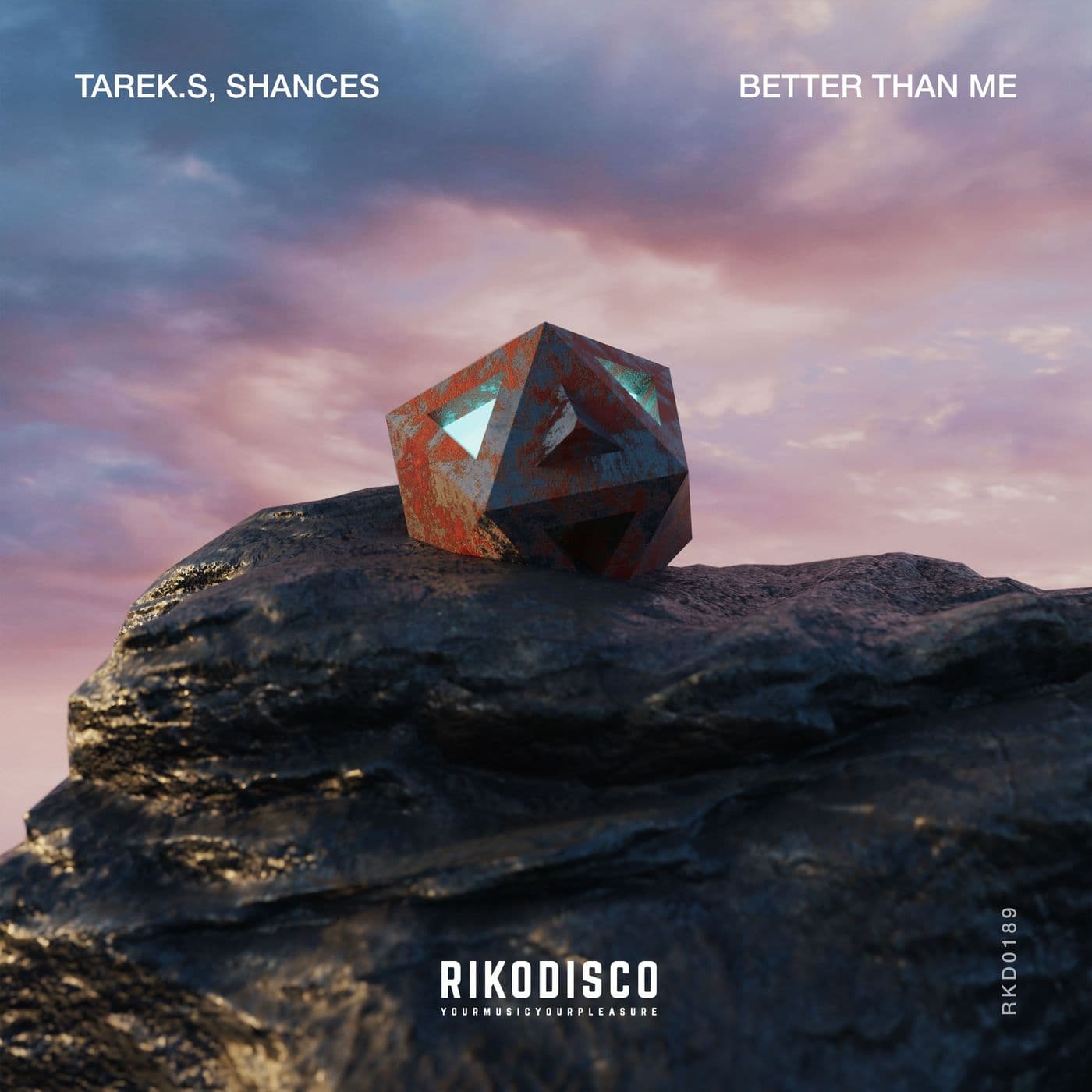 Tarek.S_and_Shances-Better_Than_Me-_RKD0189_-SINGLE-WEB-2024-PTC