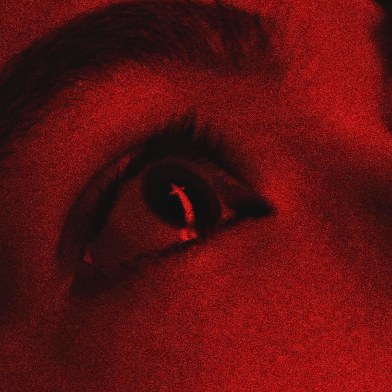 The_Forest_Forgets-Godweight-24BIT-WEB-FLAC-2026-MOONBLOOD