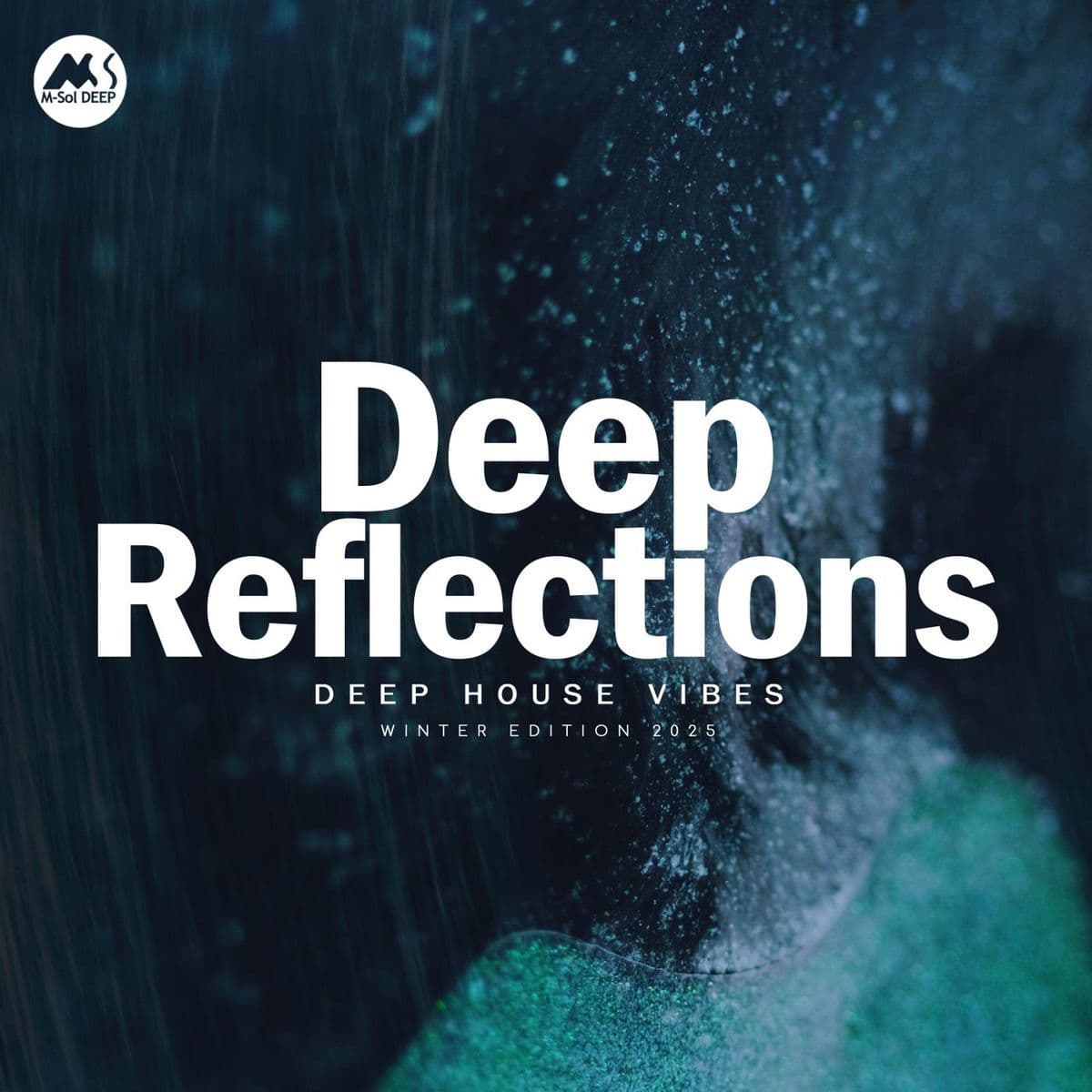 VA-Deep_Reflections_Winter_Edition_2025-_MSD584_-WEB-2025-BABAS