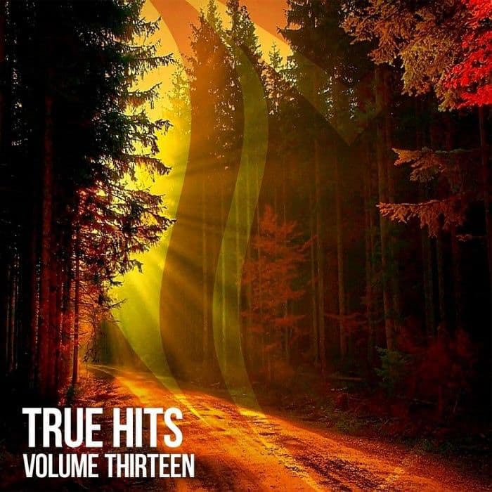 VA-True_Hits_Vol.13_Extended_Mixes_-WEB-2026-PR0MiL