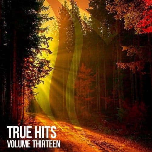VA_-_True_Hits_Vol._13-_TRUECL069_-WEB-2026-FMC
