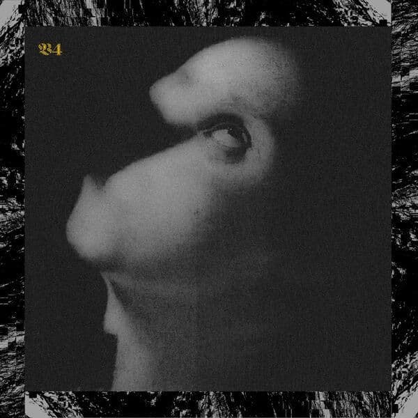 Viscera-4._Assets_For_Psychedelic_Warfare-WEB-2026-ENTiTLED