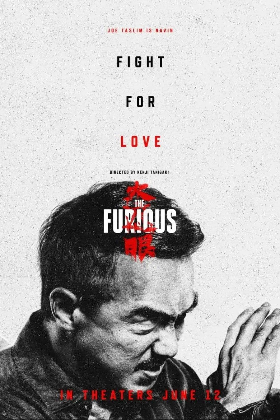 The Furious 2025 1080p WEBRip 10Bit DDP5 1 x265-NeoNoir