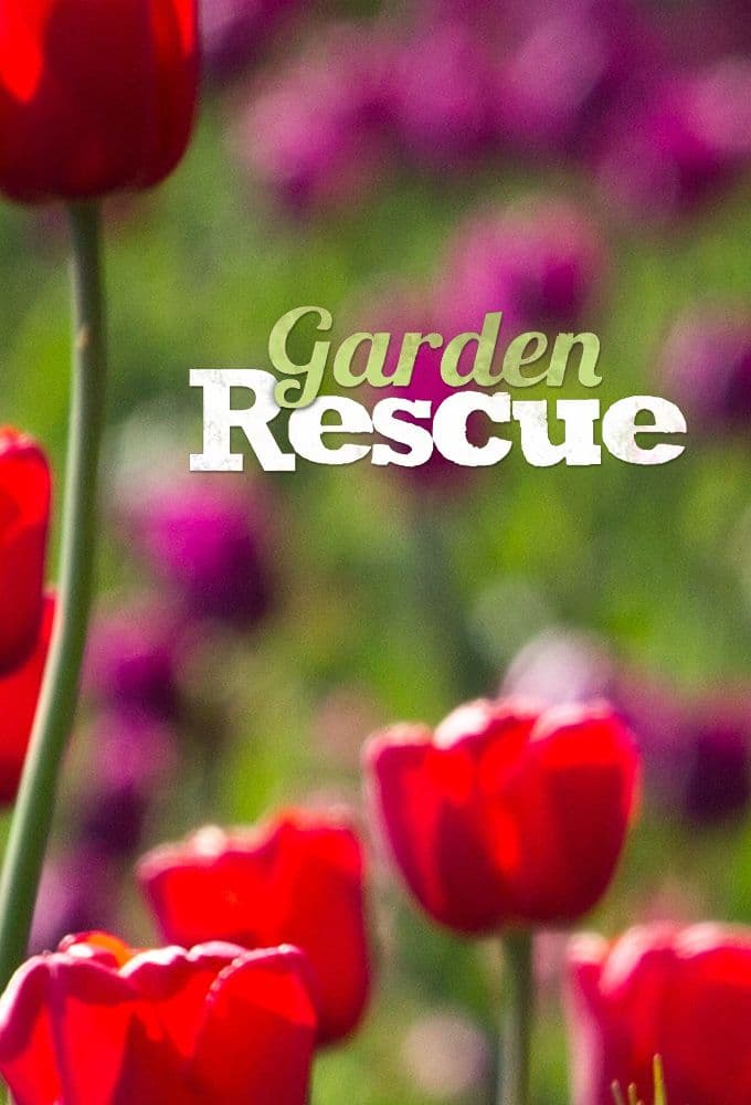 Garden Rescue S11E21 720p WEB H264-JFF