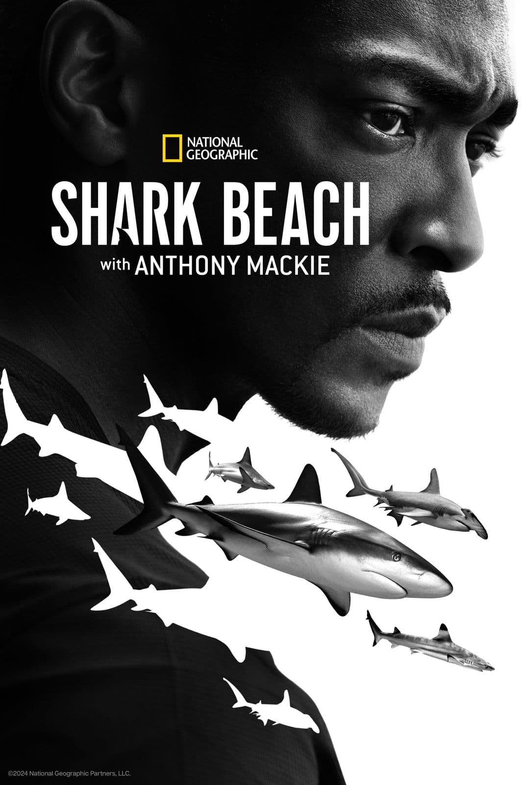 Shark Beach with Anthony Mackie 2024 NORDiC 1080p DSNP WEB DL H 264-NORViNE