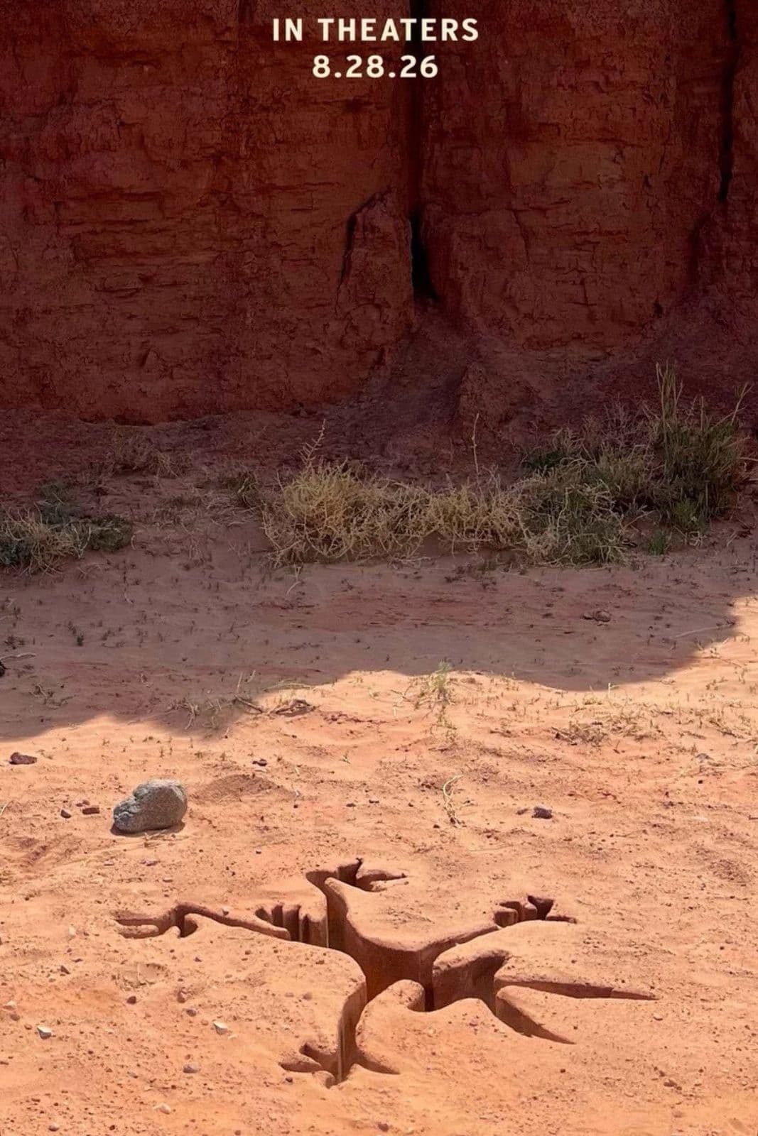 Coyote vs Acme 2026 1080p AMZN WEB DL DD 5 1 H 264-playWEB