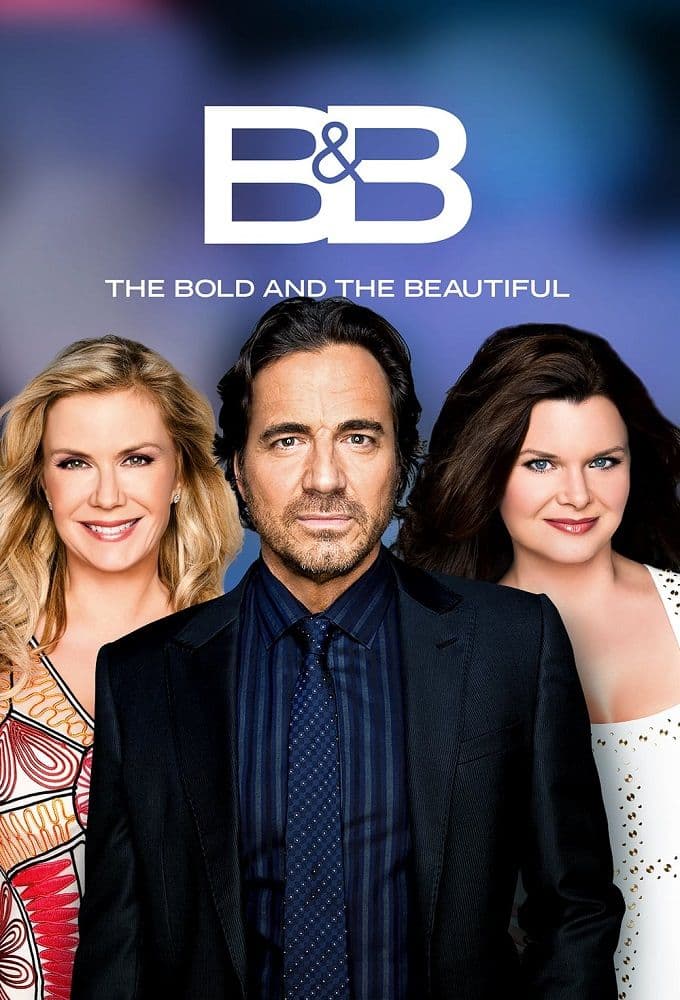 The Bold and the Beautiful S39E219 XviD-AFG