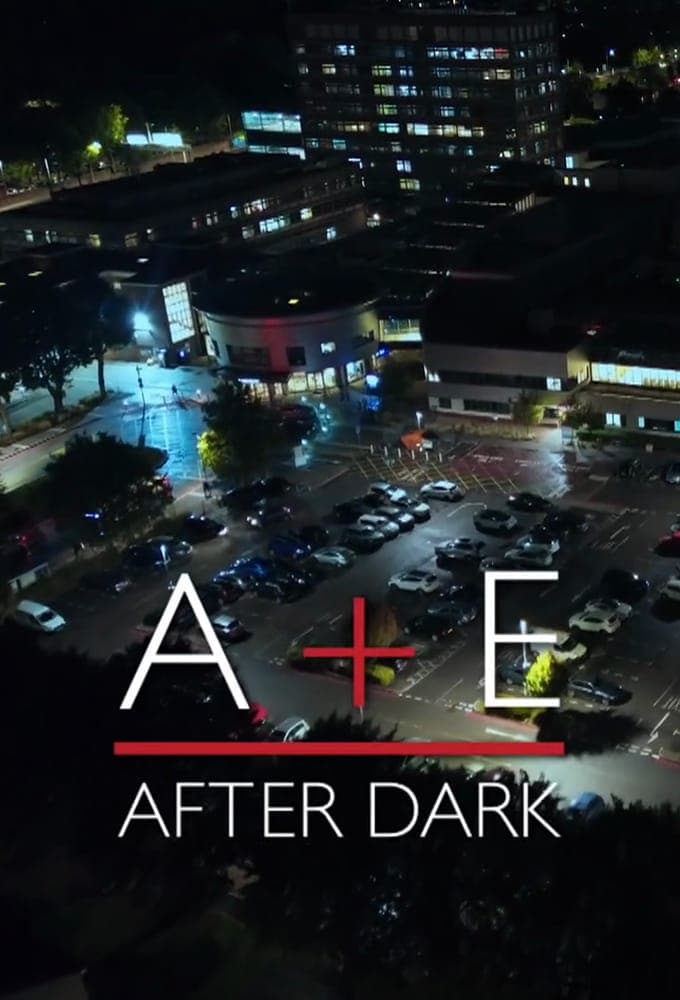 A And E After Dark S07E11 1080p MY5 WEB-DL AAC2 0 H 264-RAWR
