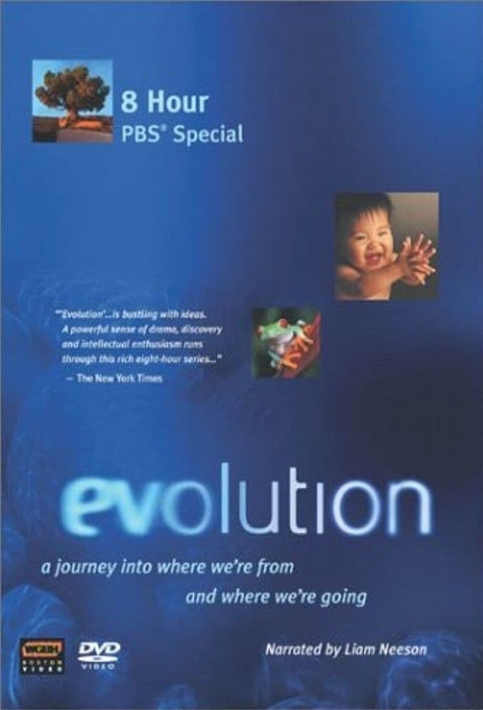 Evolution 2026 S01 The Dolphin 1080p iP WEB DL AAC2 0 H 264-RAWR
