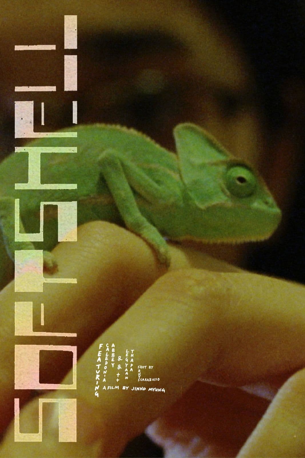 softshell 2024 bdrip h264-rbb