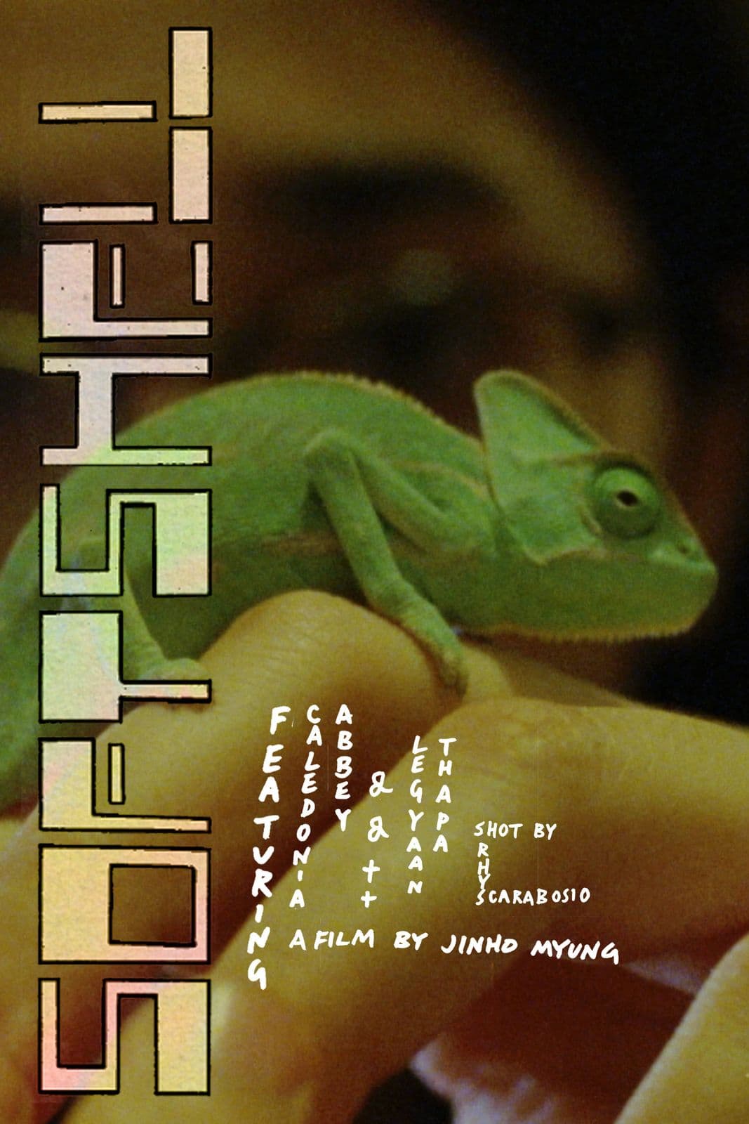 Softshell 2024 1080p BluRay-LAMA