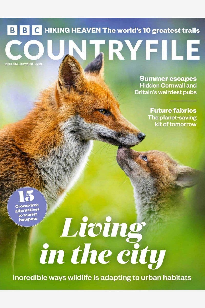 BBC.Countryfile.No.244.2026.HYBRID.MAGAZINE.eBook-21A1