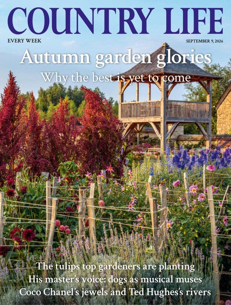 Country Life September 09 - 2026 [EN]