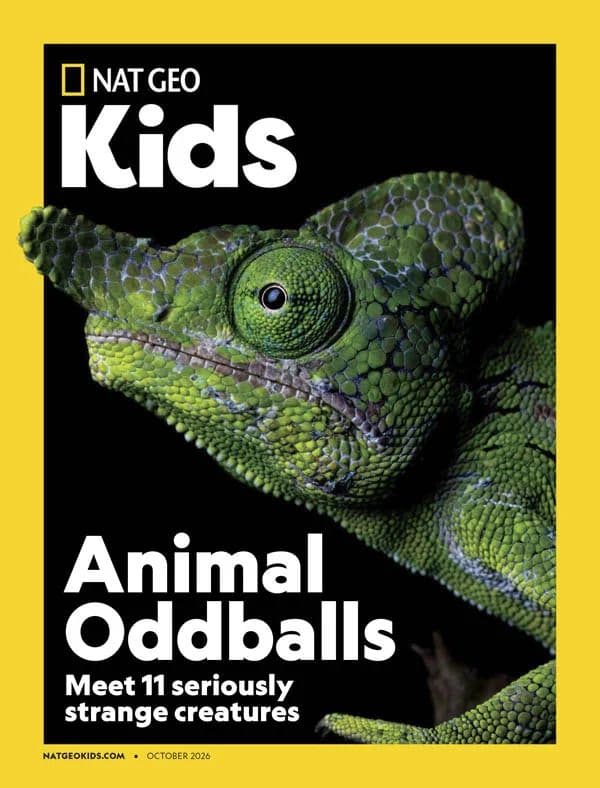 National Geographic Kids USA - October 2026