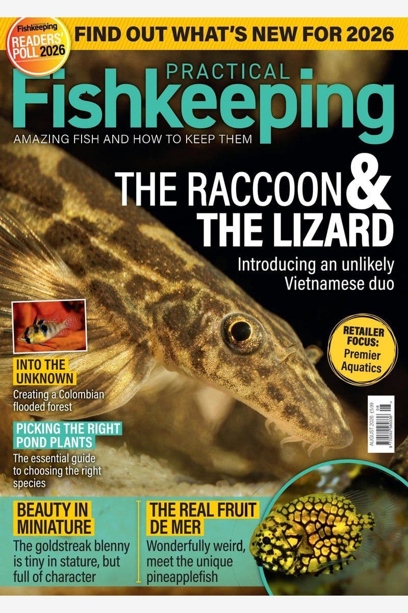 Practical.Fishkeeping.August.2026.HYBRID.MAGAZINE.eBook-21A1