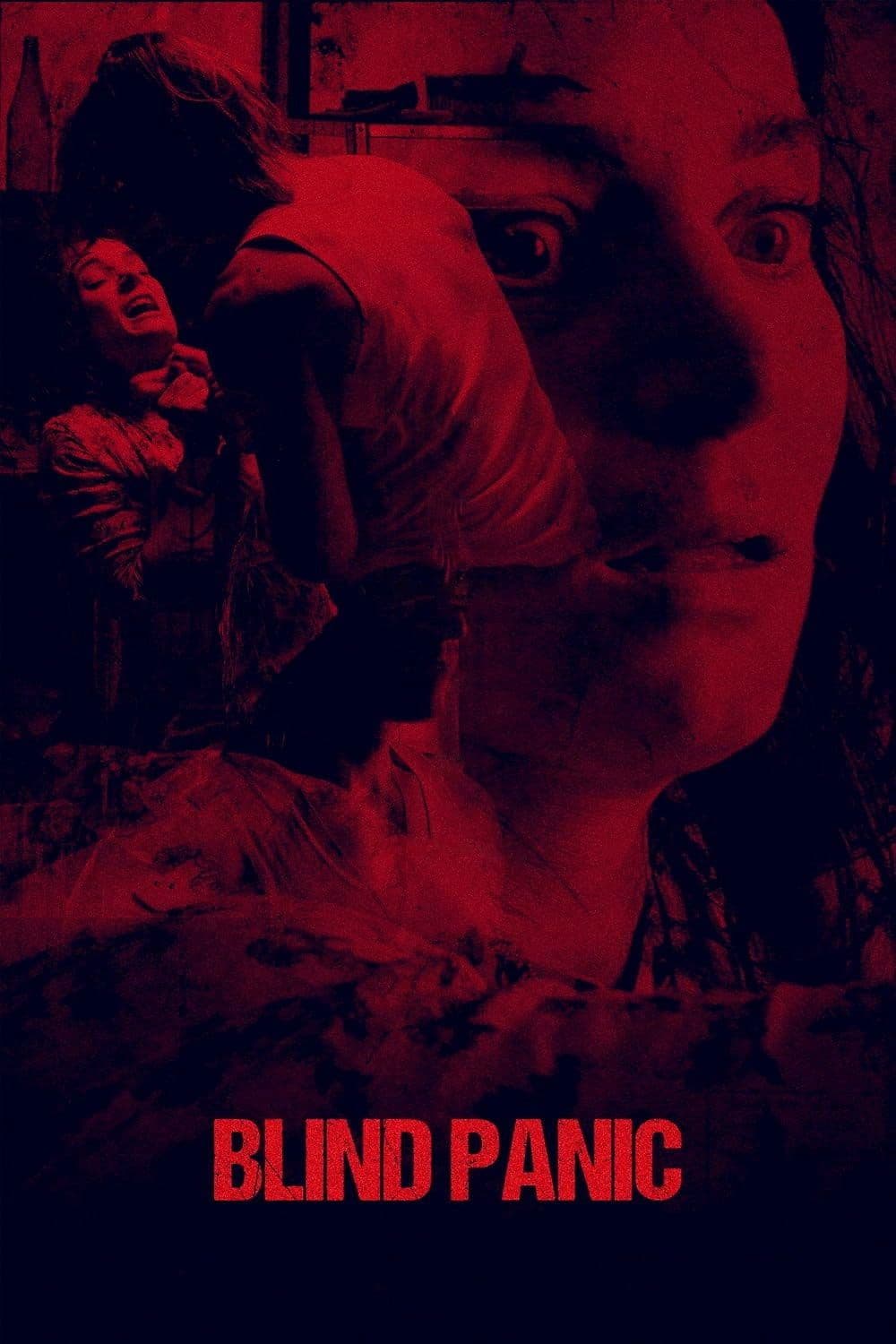 Blind Panic 2025 NORDiC 1080p WEB DL H 264 DDP2 0-ADDICTION