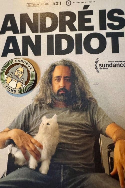 Andre Is An Idiot 2025 NORDIC 720p WEBRip-LAMA