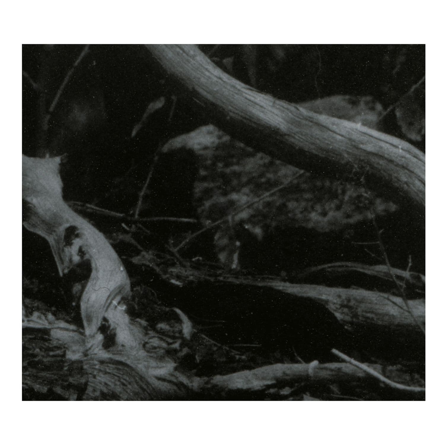 Barren_Canyon-World_of_Wounds-WEB-2018-BLEEDiNG
