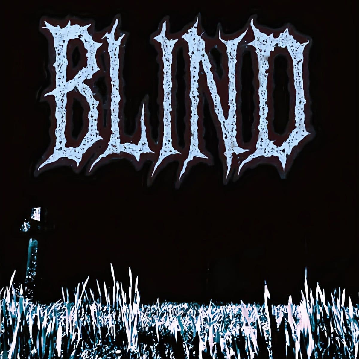 Blind-Wrong_Life-16BIT-WEB-FLAC-2025-VEXED