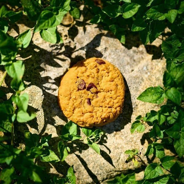 C418-Cookie_Clicker-OST-EP-16BIT-WEB-FLAC-2021-ENRiCH
