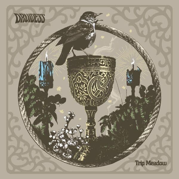 Druidess-Trip_Meadow-16BIT-WEB-FLAC-2026-ENTiTLED
