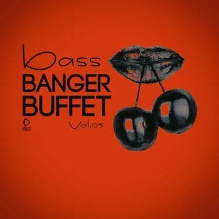 VA-Bass_Banger_Buffet_Vol.05-16BIT-WEB-FLAC-2025-PWT