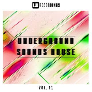 VA-Underground_Sounds_House_Vol._11-16BIT-WEB-FLAC-2026-PWT