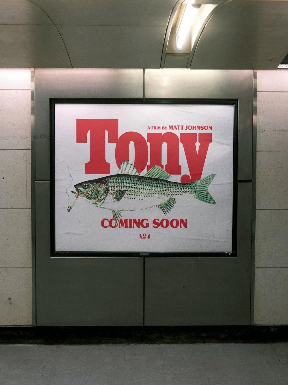 Tony 2026 720p WEBRip-YTSGGYTSBZ