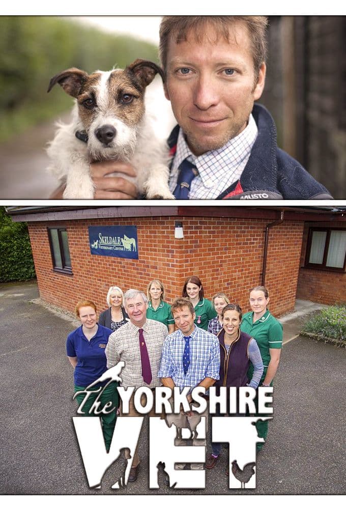 The Yorkshire Vet S23E05 480p WEB x264-RMTeam