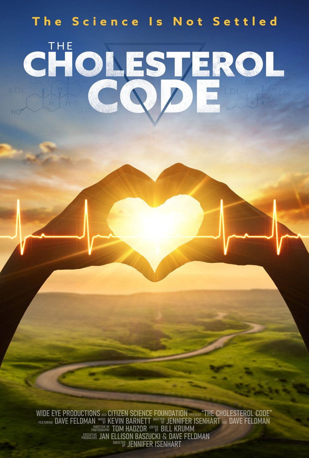 The Cholesterol Code 2026 720p AMZN WEB-DL DD 2 0 H 264-playWEB