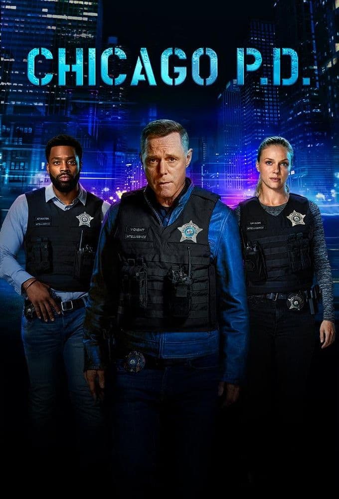 Chicago PD S12E01 MULTi 480p x264-mSD
