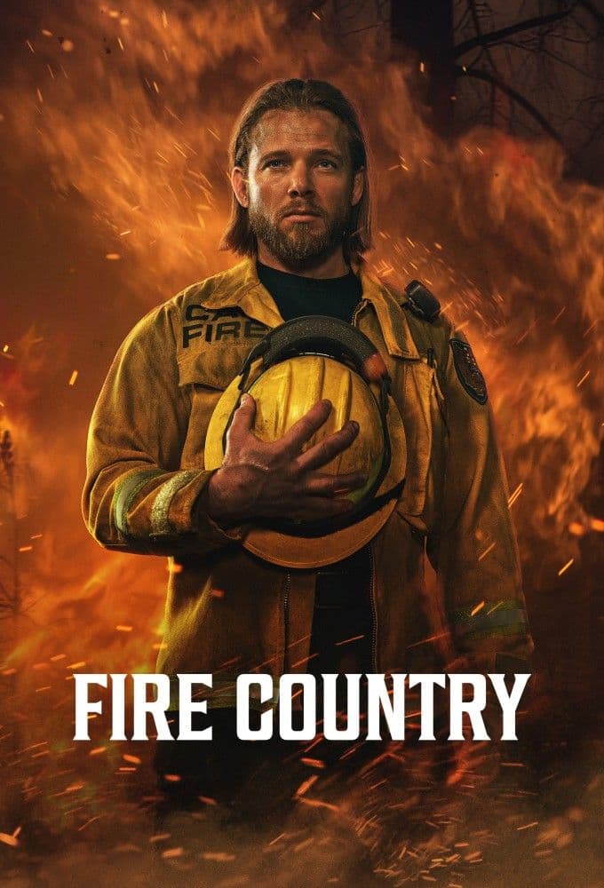 Fire Country S04E18 MULTI 480p x264-mSD